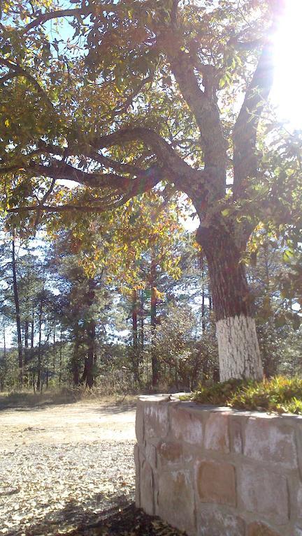 Refugio Cabanas Santa Isabel 빌라 객실 사진
